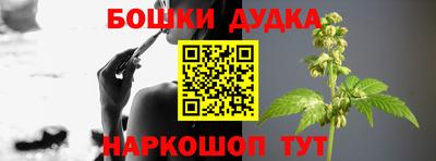 Альфа ПВП Канаш