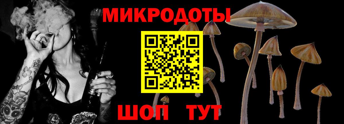 Галлюциногенные грибы Cubensis Вятские Поляны