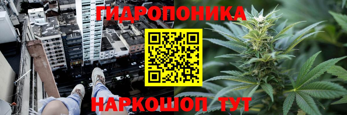 Шишки марихуана сатива Вятские Поляны